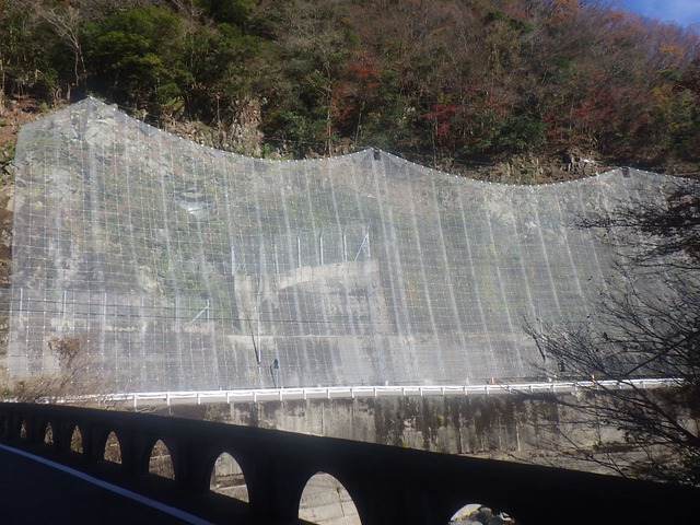RIMG1720