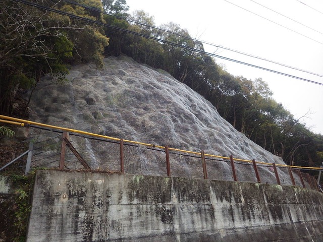 RIMG3348